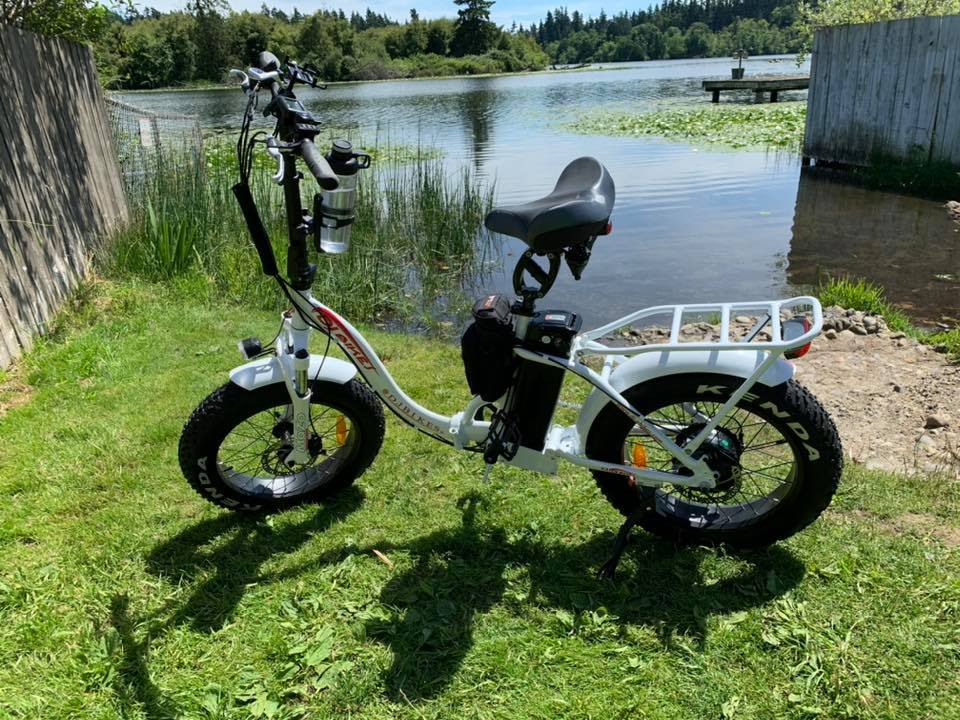 A DJ Folding Bike Step Thru folding electric bike pictured on a grassy beach in front of a lake