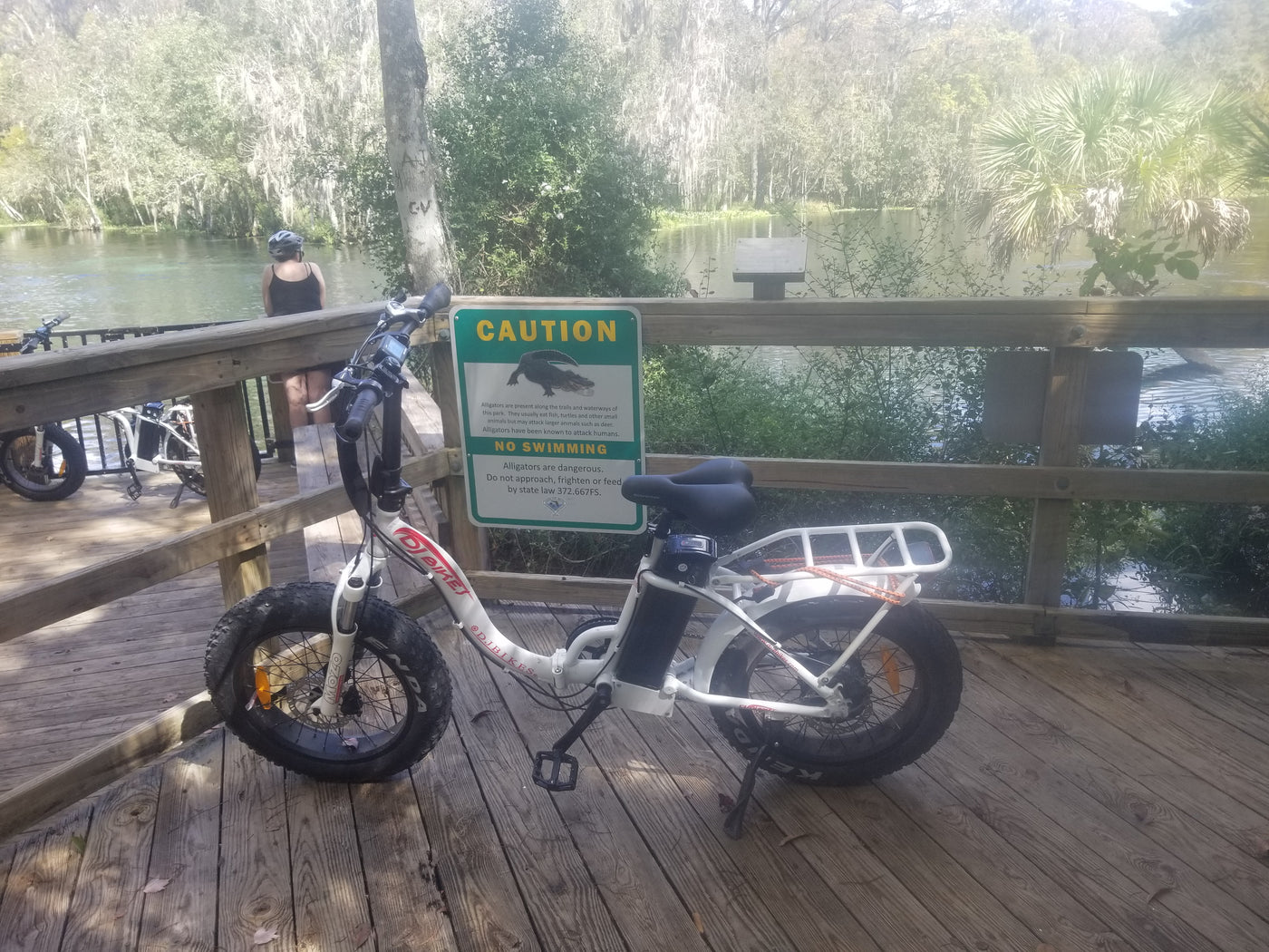 A DJ Folding Bike Step Thru e-bike posed on a dock in a Florida swamp