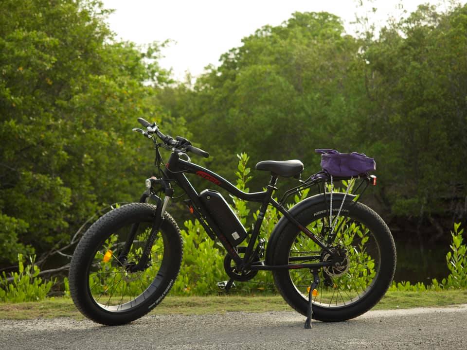 A DJ Fat Bike fat tire e-bike on a paved road in front of a forested area