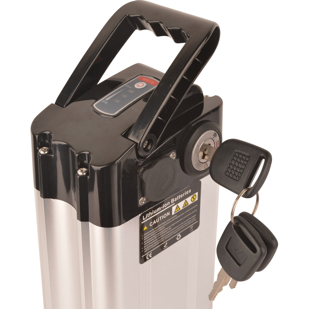 e bike ladegerät 36v samsung Samsung eBike Battery