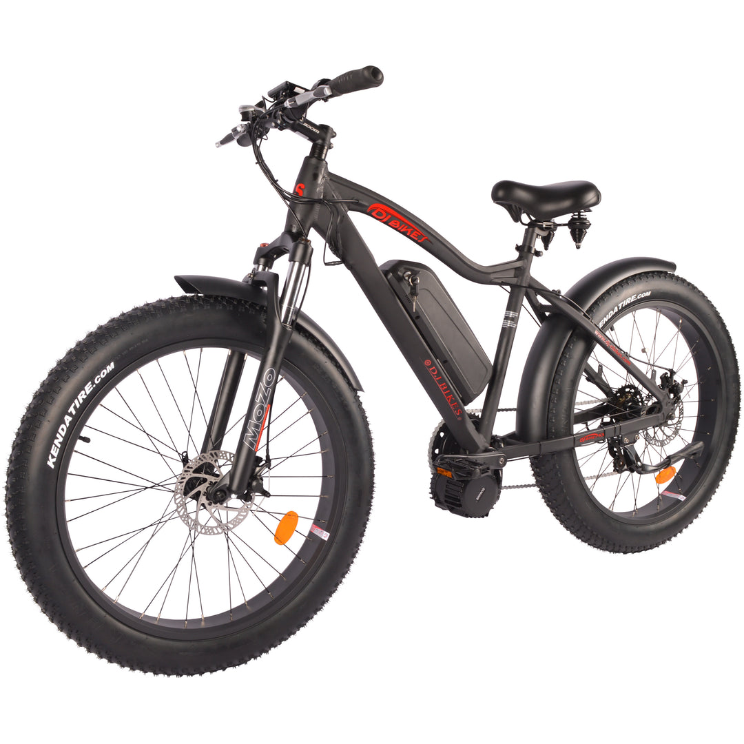 DJ Fat Bike Step Thru