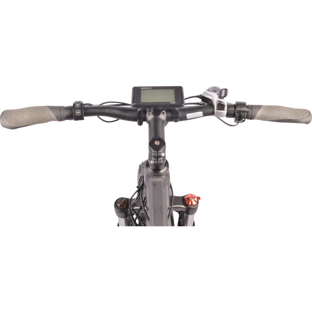 DJ Fat Bike