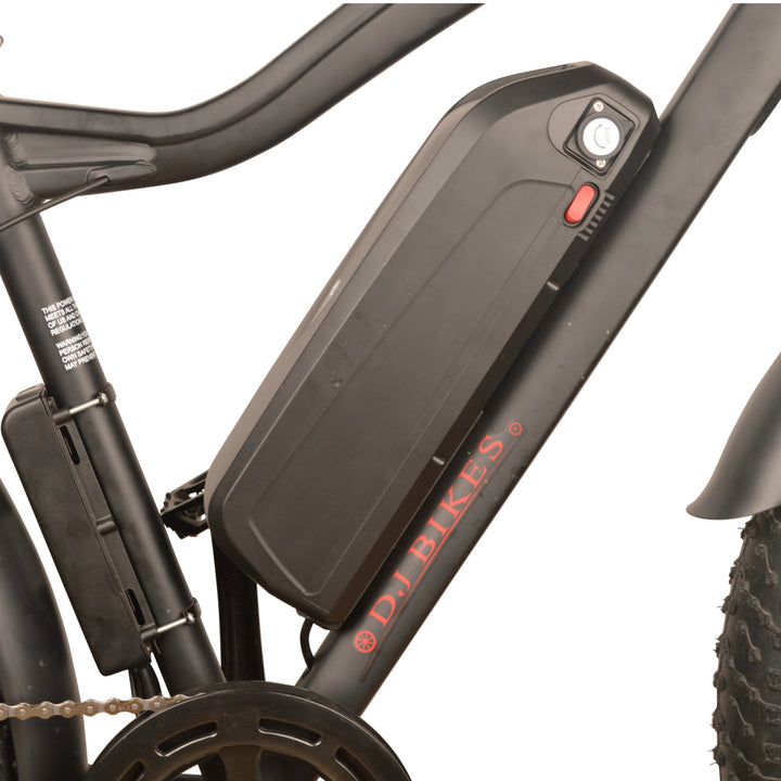 Electric Fat Tire Bike