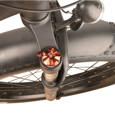 DJ Fat Bike, electric fat tire bike with preload adjustment suspension fork from DJ Bikes