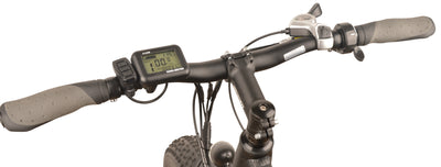 DJ Fat Bike, fat tire ebike with LCD display, 5-level pedal assist & thumb throttle 